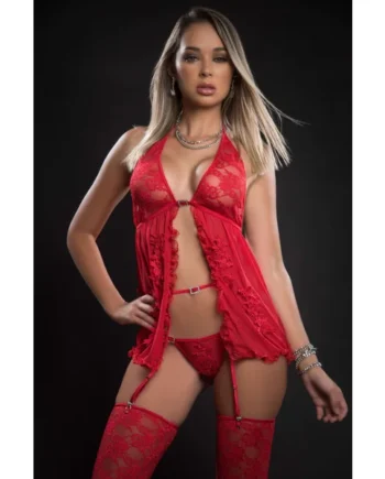 3pc Sensual Sheer Babydoll Open Front and Embroidery Applique