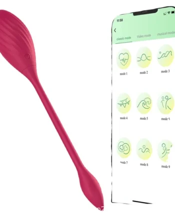 APP Control Vibrating Panty Egg - Wearable G Spot Anal Vibrator Prostate Massager