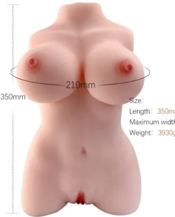 ARMONY - REALISTIC FEMALE TORSO MODEL 3