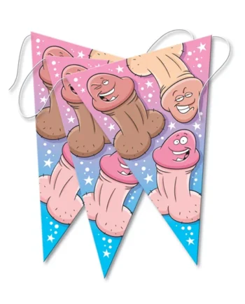 BACHELORETTE PARTY BANNER