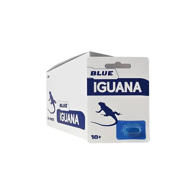 BLUE IGUANA 30PC DISPLAY (NET)