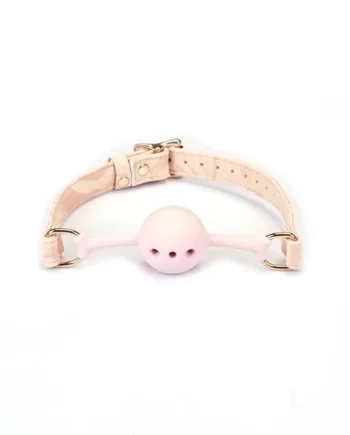 Boudoir Amor Collection Vegan Leather & Silicone Bag Gag