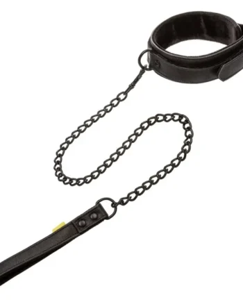 Boundless™ Collar & Leash