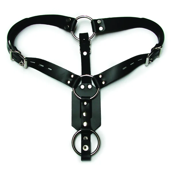 BUTT PLUG HARNESS W/COCK RING (out Aug)