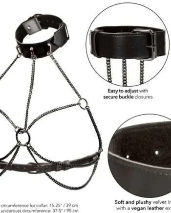 CALEXOTICS - EUPHORIA MULTI CHAIN COLLAR HARNESS