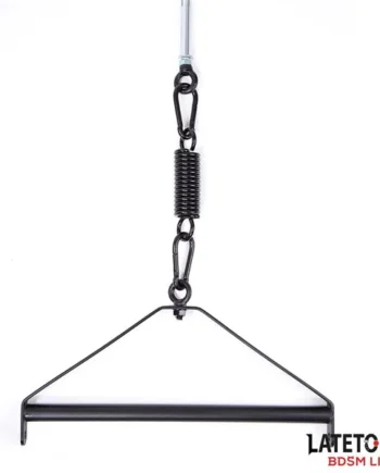 Ceiling Swing