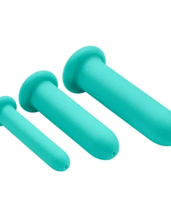 CLOUD 9 HEALTH & WELLNESS SILICONE DILATOR KIT (FOR VAGINAL OR ANAL USE)