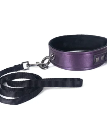 COLLAR & LEASH- GALAXY LEGEND PURPLE