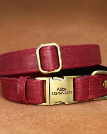 Customizable Vintage Collars
