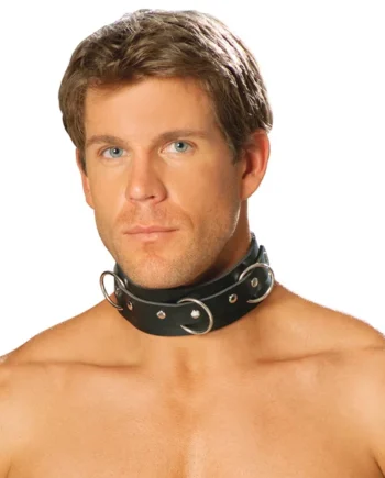 Elegant Moments Mens Leather Collar With O Rings And Nail Heads
