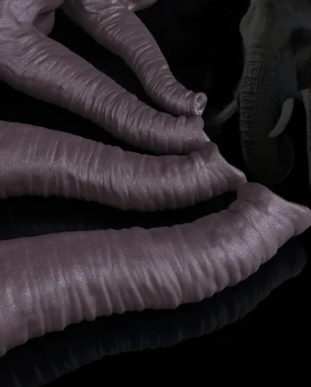 Elephant Penis Anal Dildo Butt Plug - Realistic Animal Monsterdildo Silicone Female Sex Toy