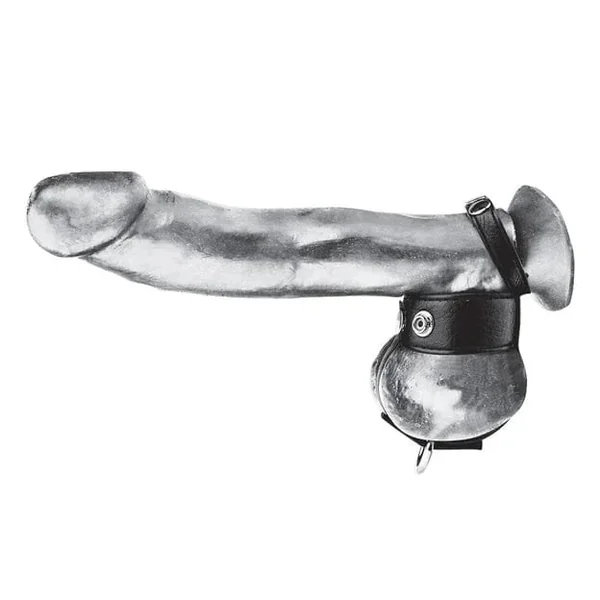 Erection ring with testicle stretcher - 2.5" (6.4cm)