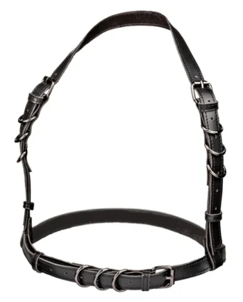 Euphoria Collection Halter Buckle Harness - Black