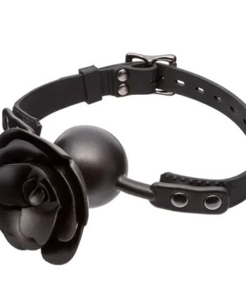 Forbidden™ Removable Rose Gag