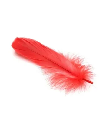 Frisky Anal Itch Relief Inc Prank Gift – Red