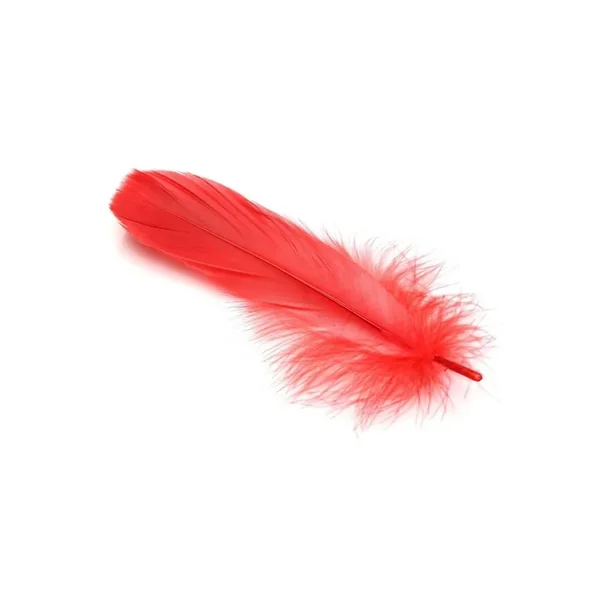 Frisky Anal Itch Relief Inc Prank Gift – Red