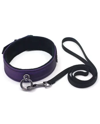 Galaxy Legend Collar & Leash – Purple