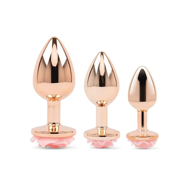 Gemsations 3 Piece Rose Metal Butt Plug Training Set