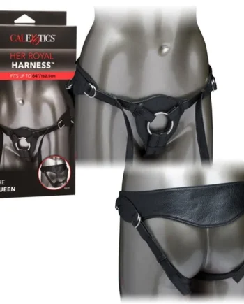 Her Royal Harness The Queen