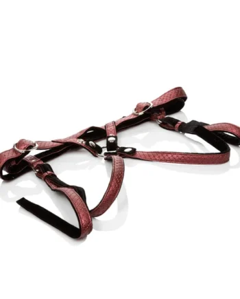 Her Royal Harness the Regal Duchess - Red