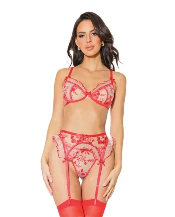 Holiday Embroidered Tulle Bra W/ruffled Trim, Garter Belt & G-string Red/nude