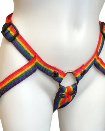 Inclusion Rainbow Strap-On Harness - Size B Fits Hips Up To 65"