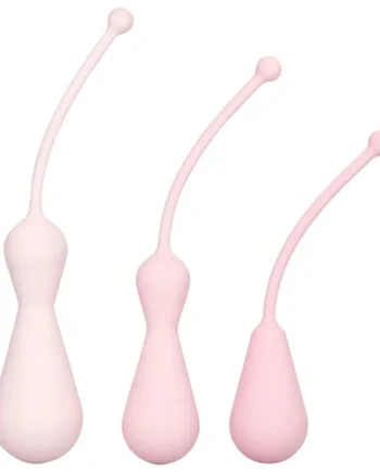 Inspire Weighted Silicone Kegel Training Kit