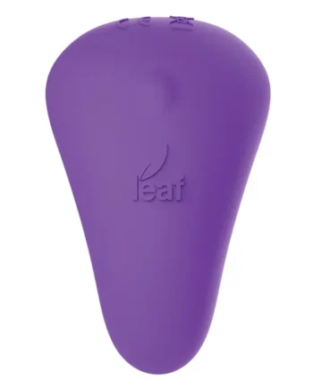 Leaf Plus Spirit W-remote Control - Purple