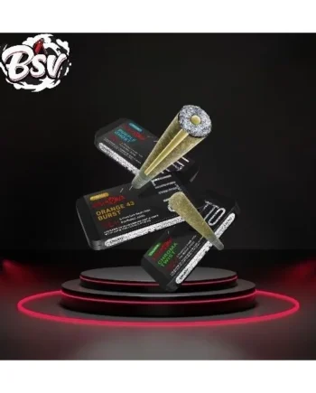 Litto 6ct THCP Hash Holes Pre-Rolls Orange 43 Burst