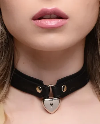 Locking Heart Collar