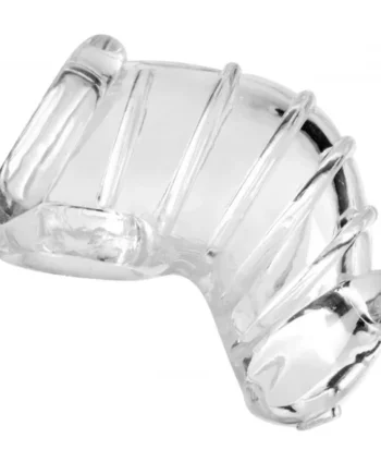 MASTER SERIES DETAINED CHASTITY CAGE