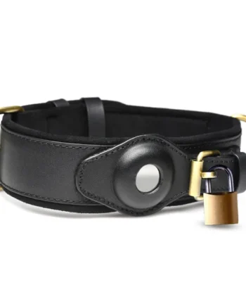 Master Series Tracer Tracking Device-Compatible Collar