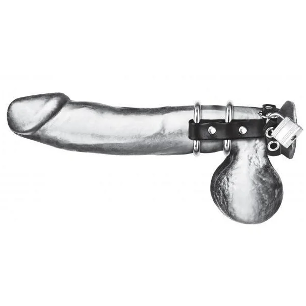 Metal Cock Ring With Locking Ball Strap Double by C&B Gear