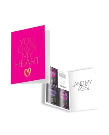 Naughty Notes Greeting Card You Own My 1 Card