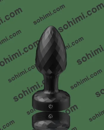 PIET| Vibration and Rotation Butt Plug Sex Toy