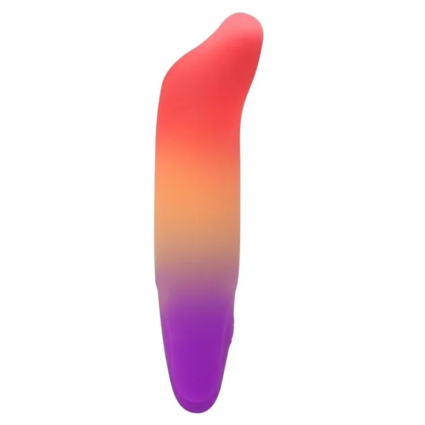 Play With Me Dolphin Dreams Rechargeable Silicone G-Spot Bullet Vibrator – Multicolor