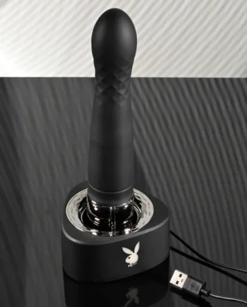 PLAYBOY PLEASURE ZONE