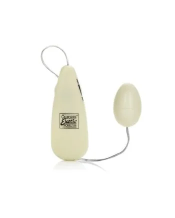 Pocket Exotics Glow-in-the-Dark Egg