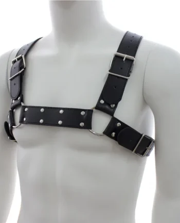 Poison Rose Leather H-Brace Bulldog Chest Harness