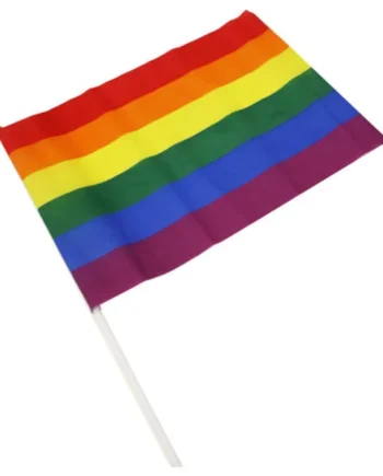 PRIDE - LGBT FLAG LARGE PENNANT