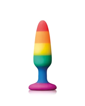 Pride Pleasure Plug Rainbow Small