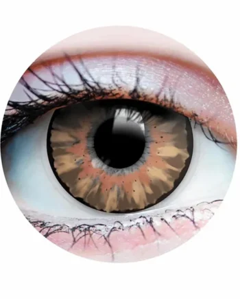 Primal Contact Lenses – Delightful – Honey