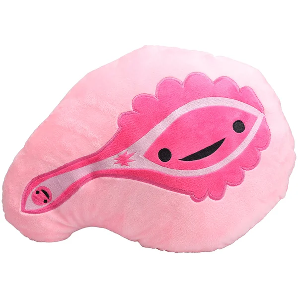 Pussy Pillow Plushie with Storage Pouch