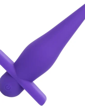 Rechargeable High Intensity Silicone Waterproof Vibrating Anal Probe By CalExotics - Purple