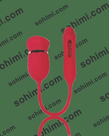 REDLIPS| 4 in 1 Licking Sucking Flapping and Vibrating G-Spot Clit Stimulator