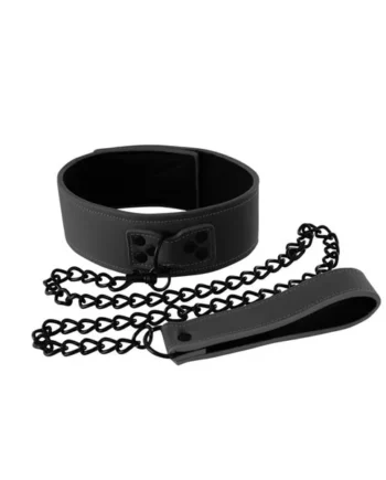 Renegade Collar & Leash Set