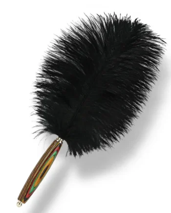 Roomfun Luxury Colour Wood Ostrich Feather Tickler