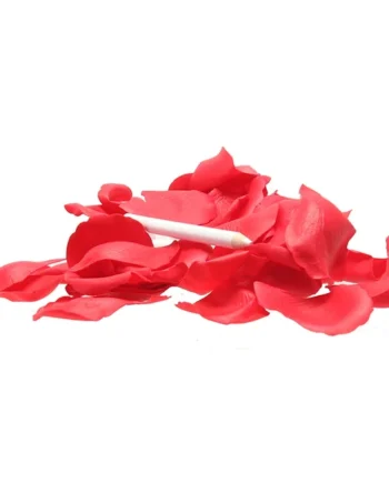 Rose Petal Sexy Surprises Writable Petals