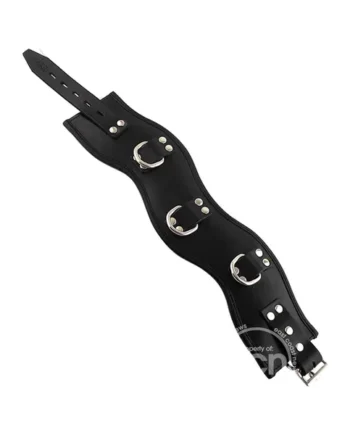 Rouge Adjustable Posture Collar