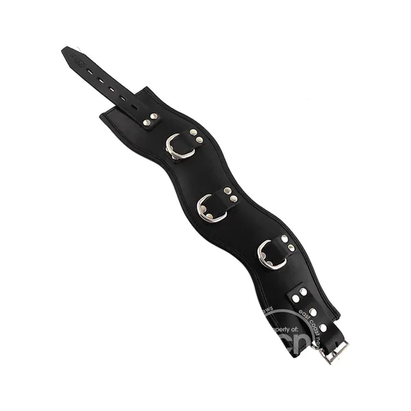 Rouge Adjustable Posture Collar